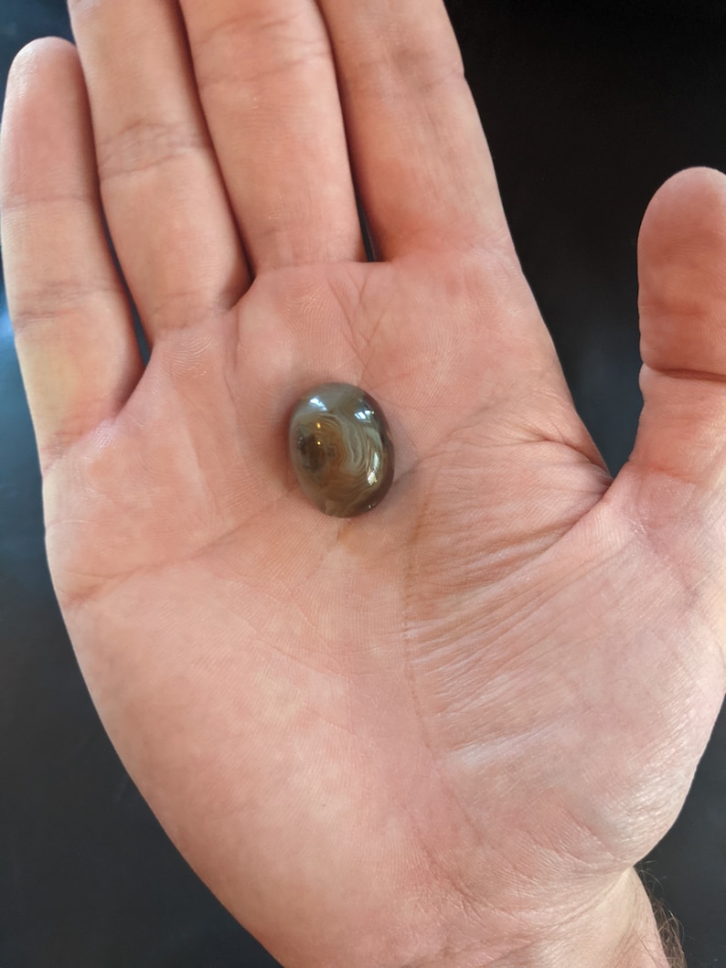 May include: A small, round, brown and gray agate gemstone with a swirling pattern.