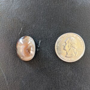 May include: A close-up of a brown and white agate cabochon, next to a US quarter dollar coin. The agate has a swirling pattern of brown, white, and gray.