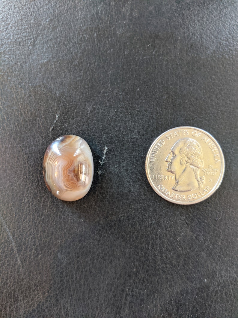 May include: A close-up of a brown and white agate cabochon, next to a US quarter dollar coin. The agate has a swirling pattern of brown, white, and gray.