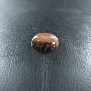 May include: A small, round, dome-shaped object with a smooth, shiny, metallic finish. The object is a light brown color.