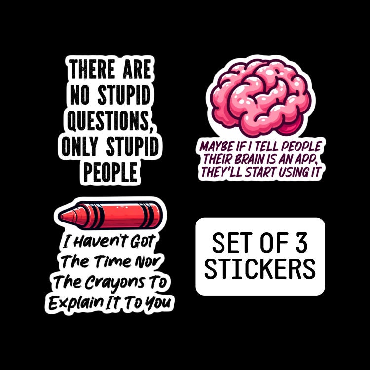 Funny Stickers for Adults, Stickers for Laptop, Stickers for Women,  Offensive Stickers, Birthday Gift for Sister, Fun Gift for Friend 
