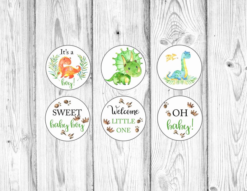 K&ouml;nnte beinhalten: Eine Sammlung von sechs runden Aufklebern mit Aquarell-Illustrationen von Dinosauriern und Text. Die Aufkleber zeigen S&auml;tze wie "It's a boy!", "Sweet baby boy" und "Welcome little one". Die Farbpalette umfasst Gr&uuml;n, Orange und Blau.