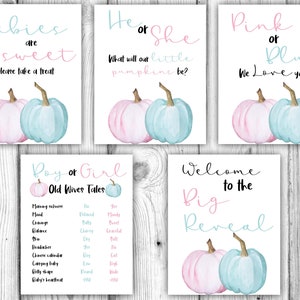 Pumpkin Gender Reveal Party Bundle, Fall Pumpkin Gender Reveal Decorations, Pink and Blue, Old Wives Tales, Instant Download Printable