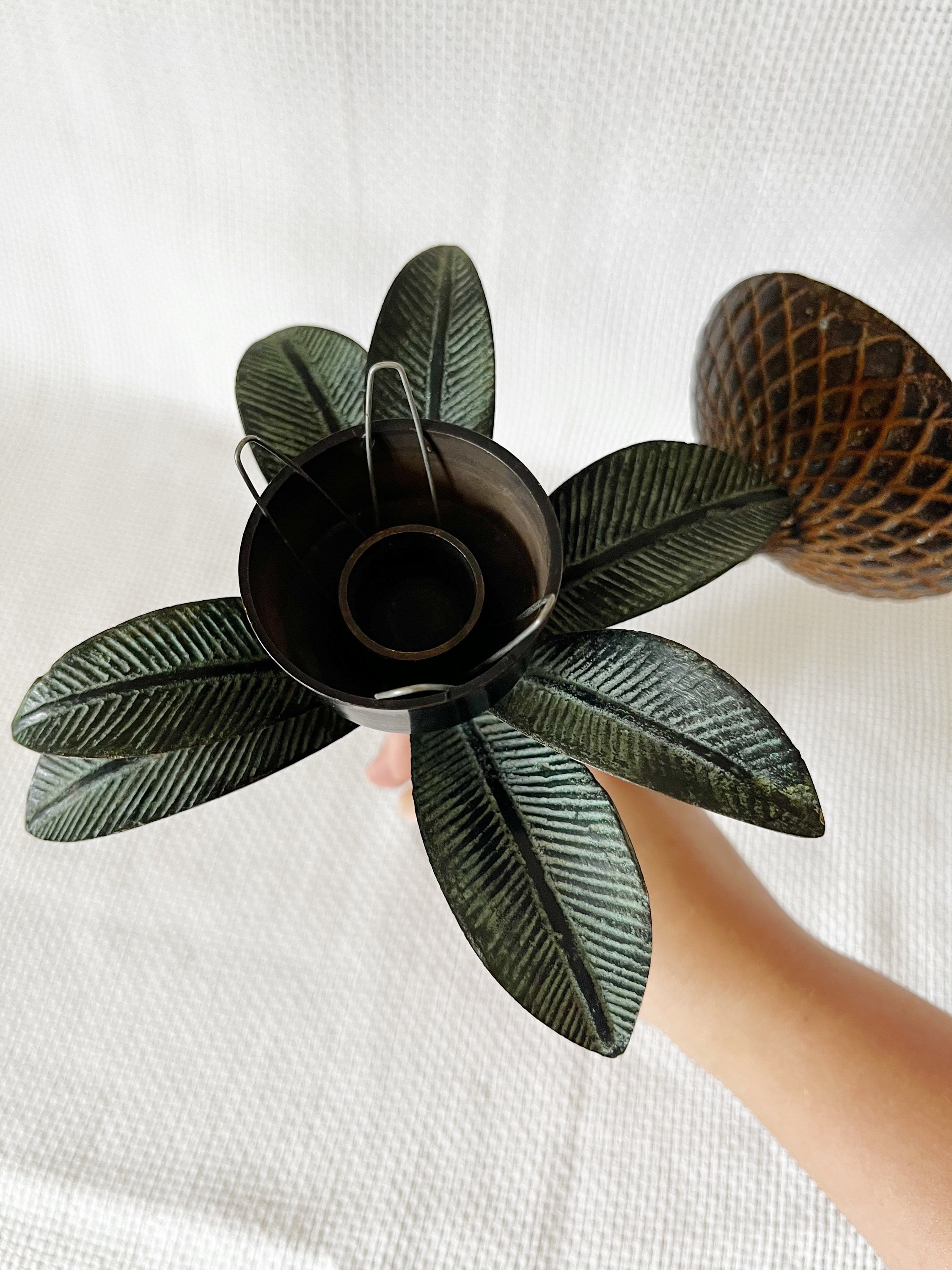 Palm clearance tree sconces