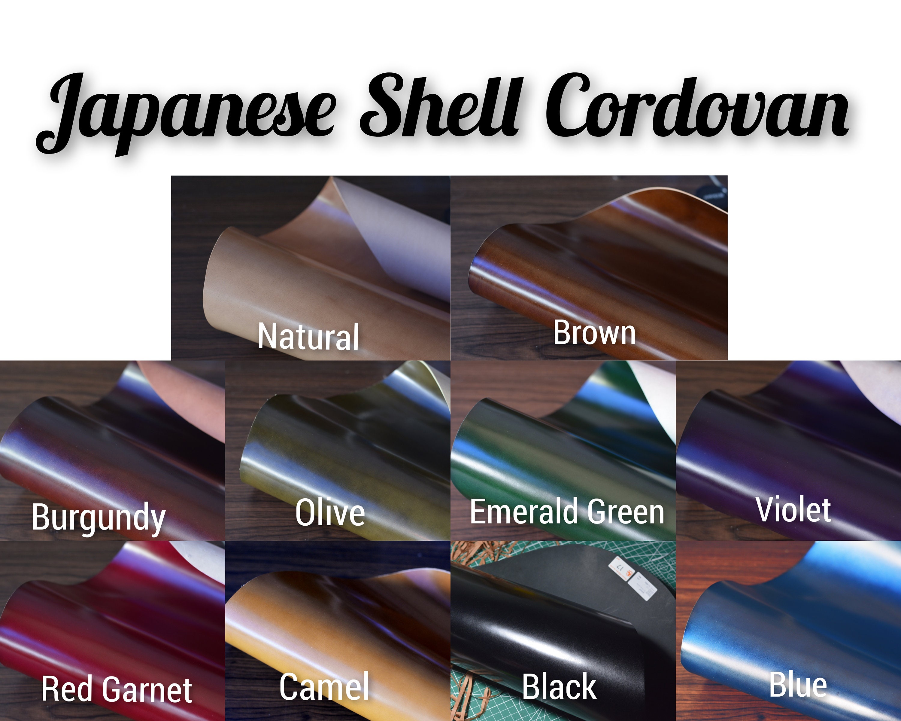 Natural Shell Cordovan and Buttero Card Holder Card Holder