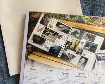 CREATIVE MEMORIES REFLECTIONS DESIGNER PAPER 12 X 12 NIP 16 SHEETS