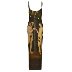 Adam and Eve Maxi Dress- Sheer Mesh Backless Renaissance Summer Dress