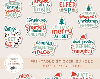 Kerst sticker bundel, afdrukbare sticker bundel, sarcastische kerst vinyl stickers, grappige vakantie sticker bundel, kerst clipart