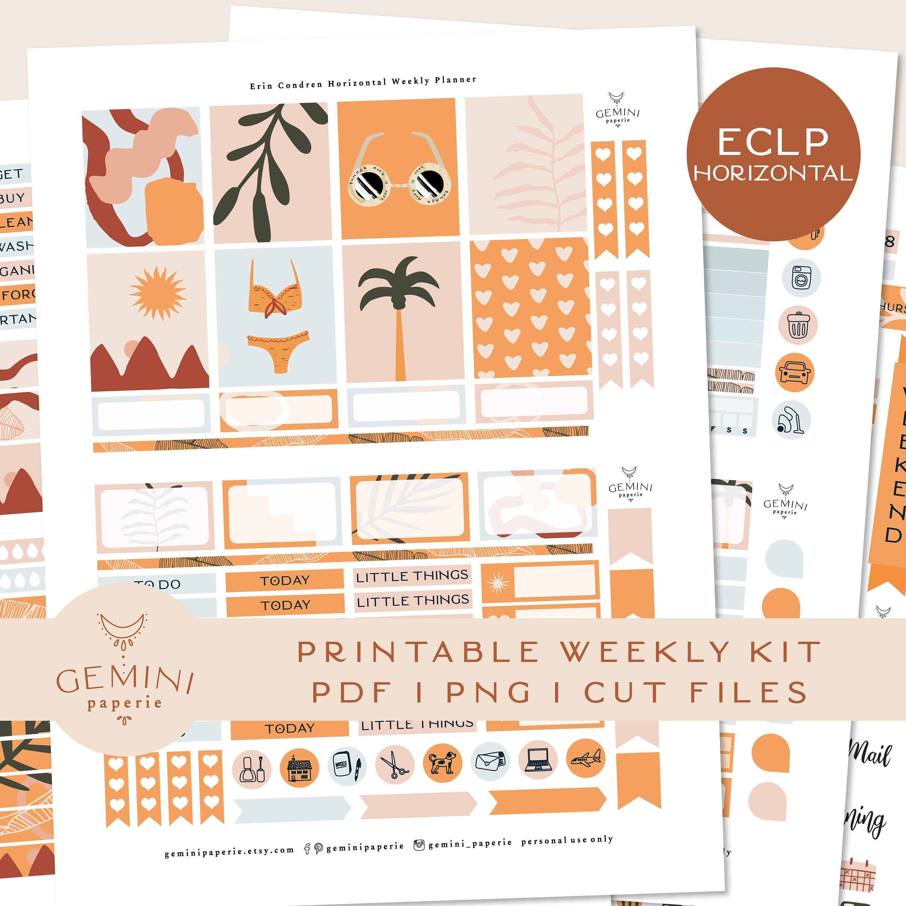 Erin Condren 2021 Horizontal Printable Planner Stickers | Etsy