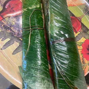 Ewe Moimoi- 20 Leaves