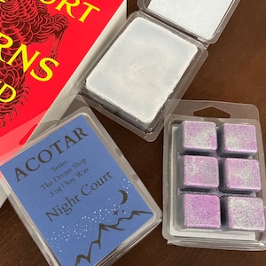 Night Court Wax Melt | Book Wax Melts | ACOTAR Inspired | Bookish Wax Melts | A Court of Thorns and Roses |