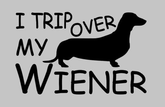 Ich Reise Uber Meine Wiener Hund Svg Und Studio3 Dateien Etsy