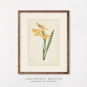 Spring Botanical Decor | Vintage wall art | Floral Art print | Digital Download | Yellow Flower Art | Printable Watercolor Art | BO_09
