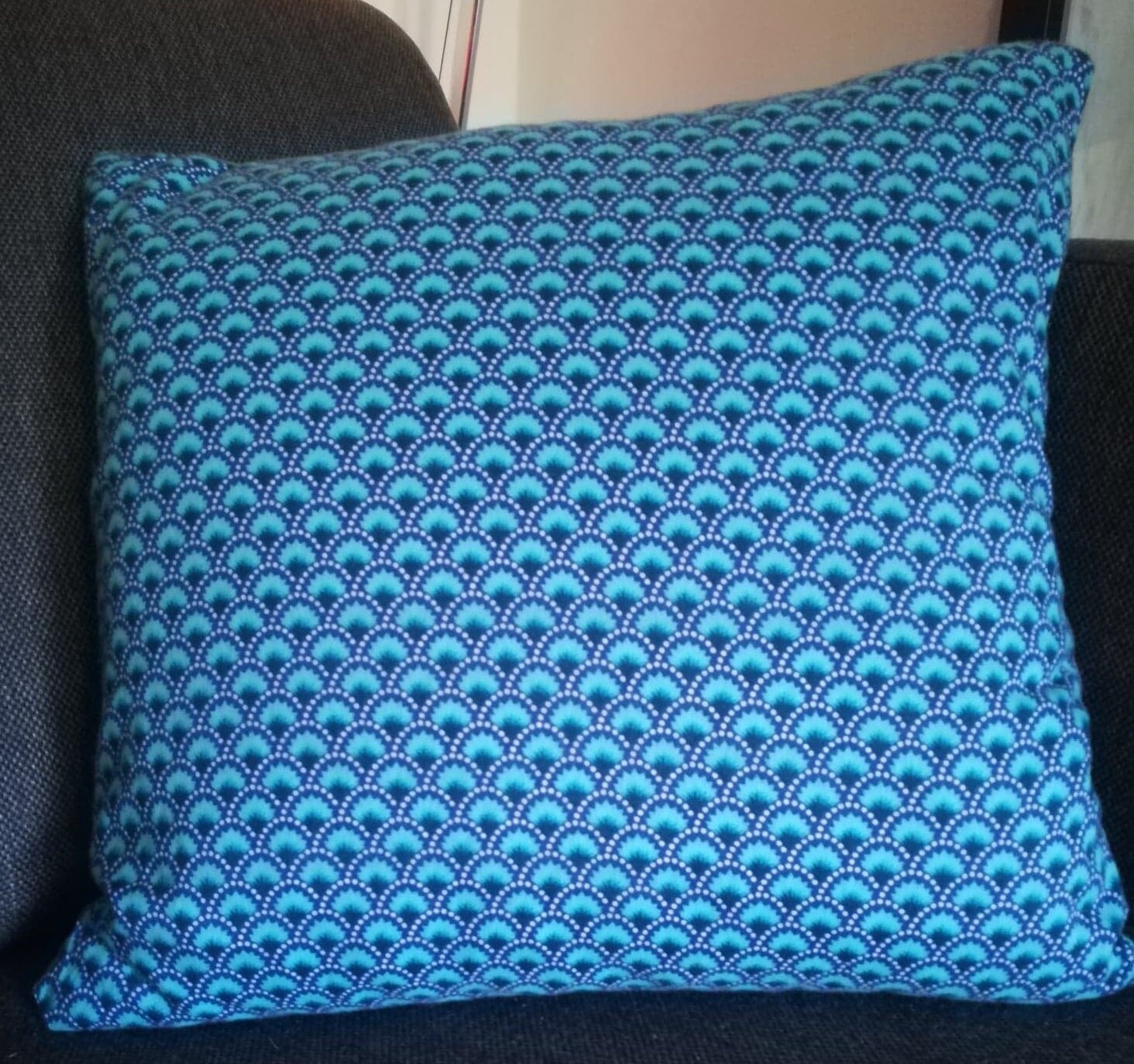 Housse de Coussin