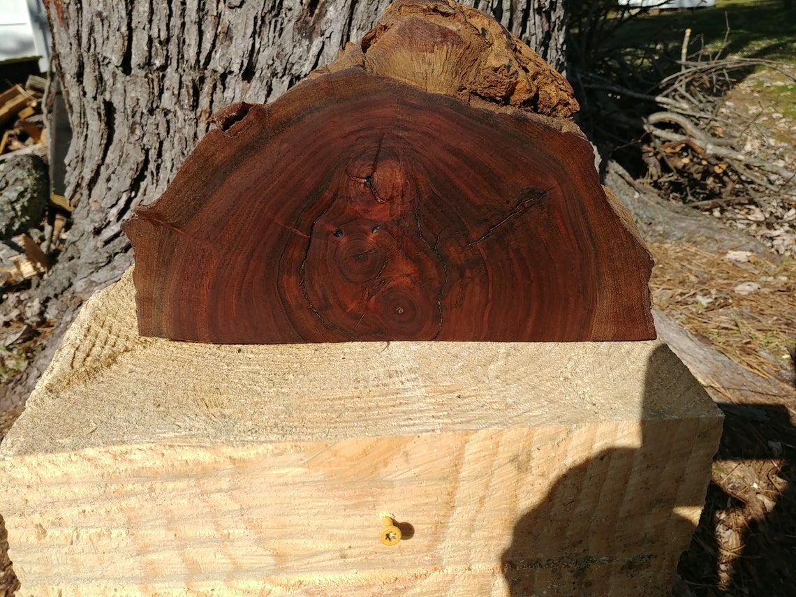 Walnut half round finished with boiled linseed oil Etsy