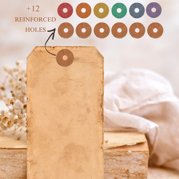 Vintage Distressed Large Blank Tags with Brown Reinforced Holes | 6 tags + 12 (brown and colored) reinforced holes - Digital Download