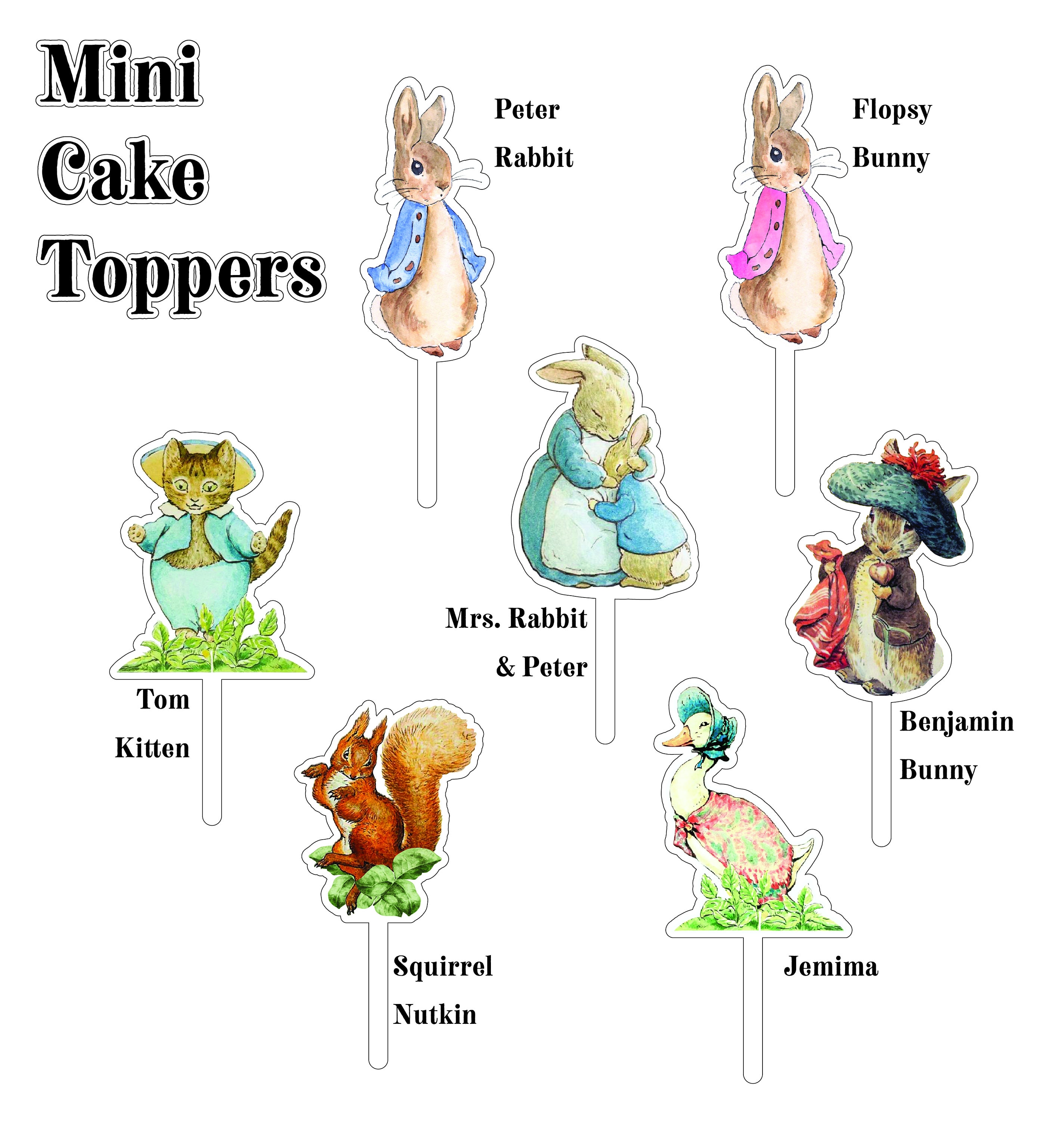 Mini Cake Toppers Peter Rabbit and Friends | Party Supplies for Peter ...