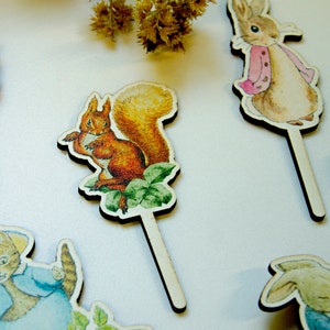 Peter Rabbit and Friends Cake Toppers | Party Supplies for Peter Rabbit ...