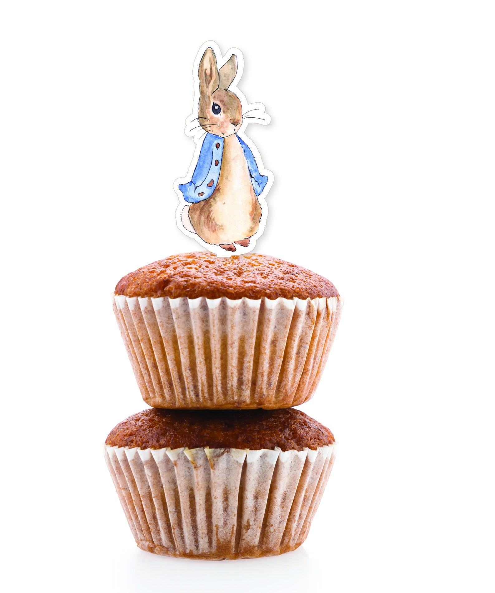 Mini Cake Toppers Peter Rabbit and Friends | Party Supplies for Peter ...