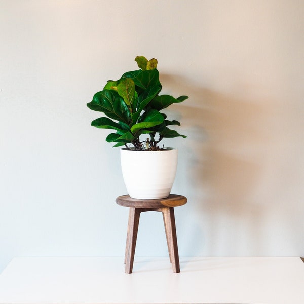 Antique Inspired Plant Stool Stand with Wooden Legs