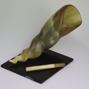 May include: A light brown horn-shaped object with a smooth, polished surface. The horn is resting on a black rectangular base with a small, white and gold cigarette resting on the base.