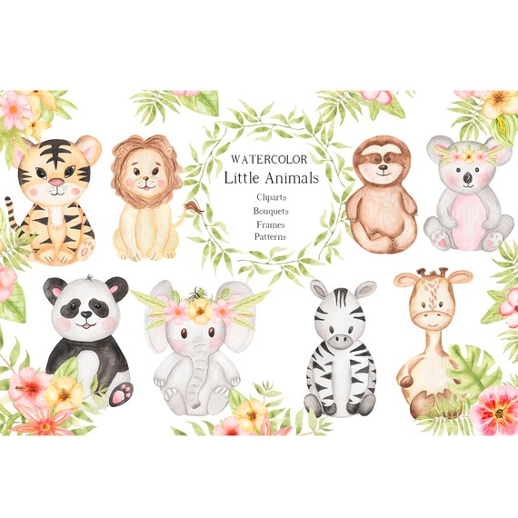 Watercolor Baby Animal Clipart Safari Animal Tropical Etsy Watercolor Baby Animal Clipart Safari Animal Tropical Etsy