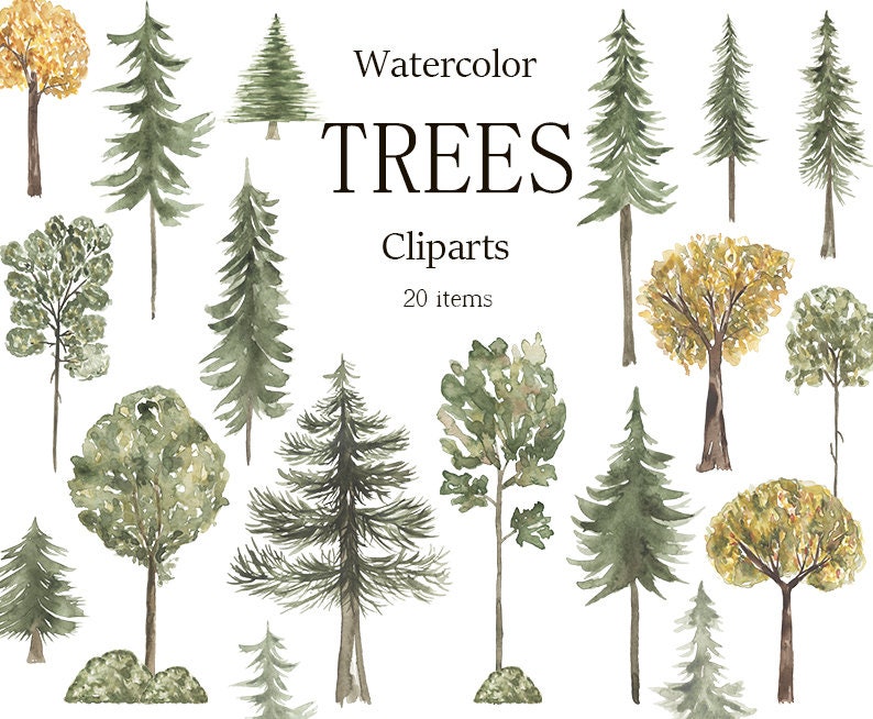 Forest Tree Clipart Watercolor Woodland Pine Trees Autumn | Etsy
