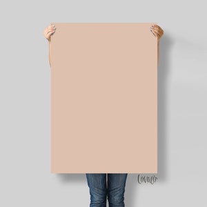 Solid Color Photography Backdrop: Matte Vinyl Photo Background