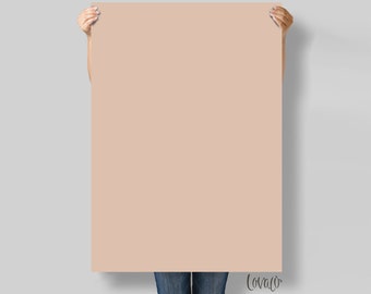 Solid Color Photography Backdrop: Matte Vinyl Photo Background