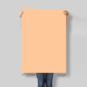 Peach Photography Backdrop: Vinyl Flat Lay, Product & Newborn Photos