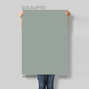Eucalyptus Green Photography Backdrop: Product, Food, Newborn (Lov4050)