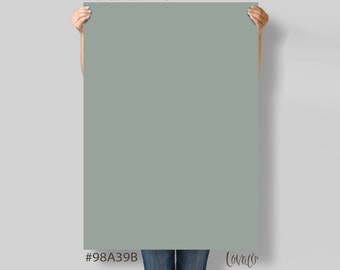 Green eucalyptus solid color Photography Backdrop for Product, Instagram, Flat lay, Social, New born & Food Photography - Lov4050
