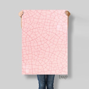 Photography Backdrop pink abstract surface, wedding, Product, Instagram, Flat lay & Food Photography - Lov3100