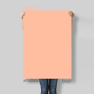 Hot Peach Photography Backdrop: Product, Food, Newborn (Lov4019)