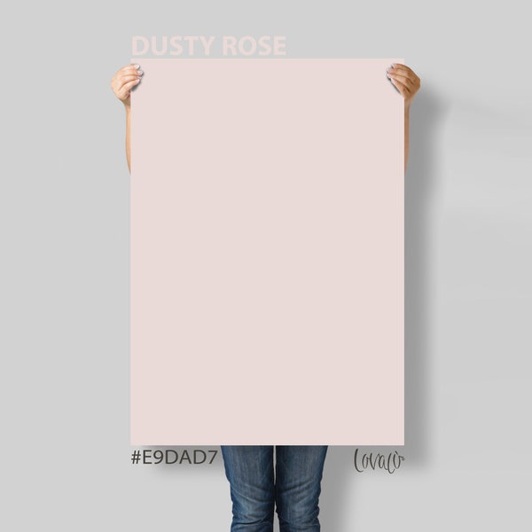 Pink Dusty Rose solid color Photography Backdrop for Product, Instagram, Flat lay, Social, New born & Food Photography - Lov4014