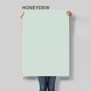 Blue green powder Honeydew solid color Photography Backdrop for Product, Instagram, Flat lay, Social, New born & Food Photography - Lov4001