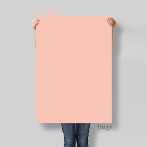 Blush Pink Photography Backdrop: Vinyl Food & Newborn Photography