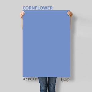 Blue Cornflower Photography Backdrop: Vinyl Product, Food, Newborn Photography