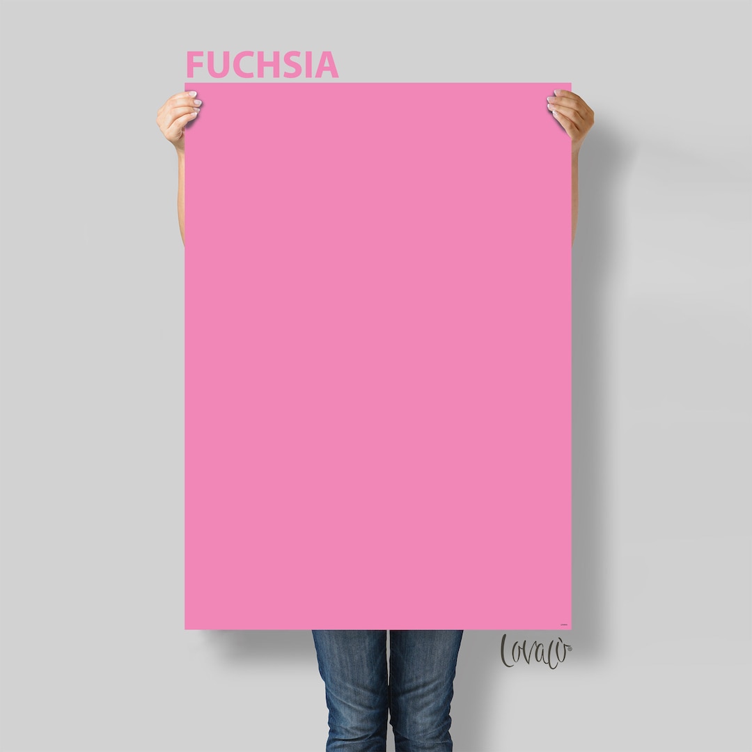 Fuchsia Backdrop Fuchsia Photography Backdrop: Vinyl Product, Food & Newborn Photography ...
