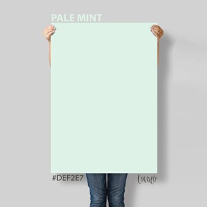 Pastel Mint Photography Backdrop: Vinyl Food & Newborn Photos