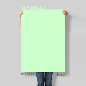 May include: A person holding a large poster with the text "TEA GREEN" and the color code #CCFFCC. The poster is a light green color.