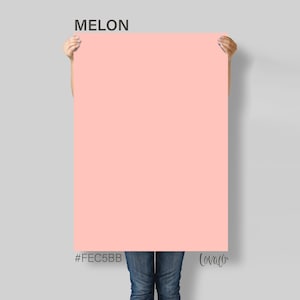 Pink Melon Photography Backdrop: Vinyl Flat Lay Surface