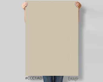 Graubeige Photography Backdrop: Solid Color Vinyl, Flat Lay Prop