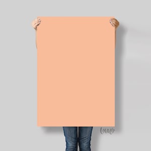 Peach Fuzz Photography Backdrop: Vinyl Food & Newborn Photography