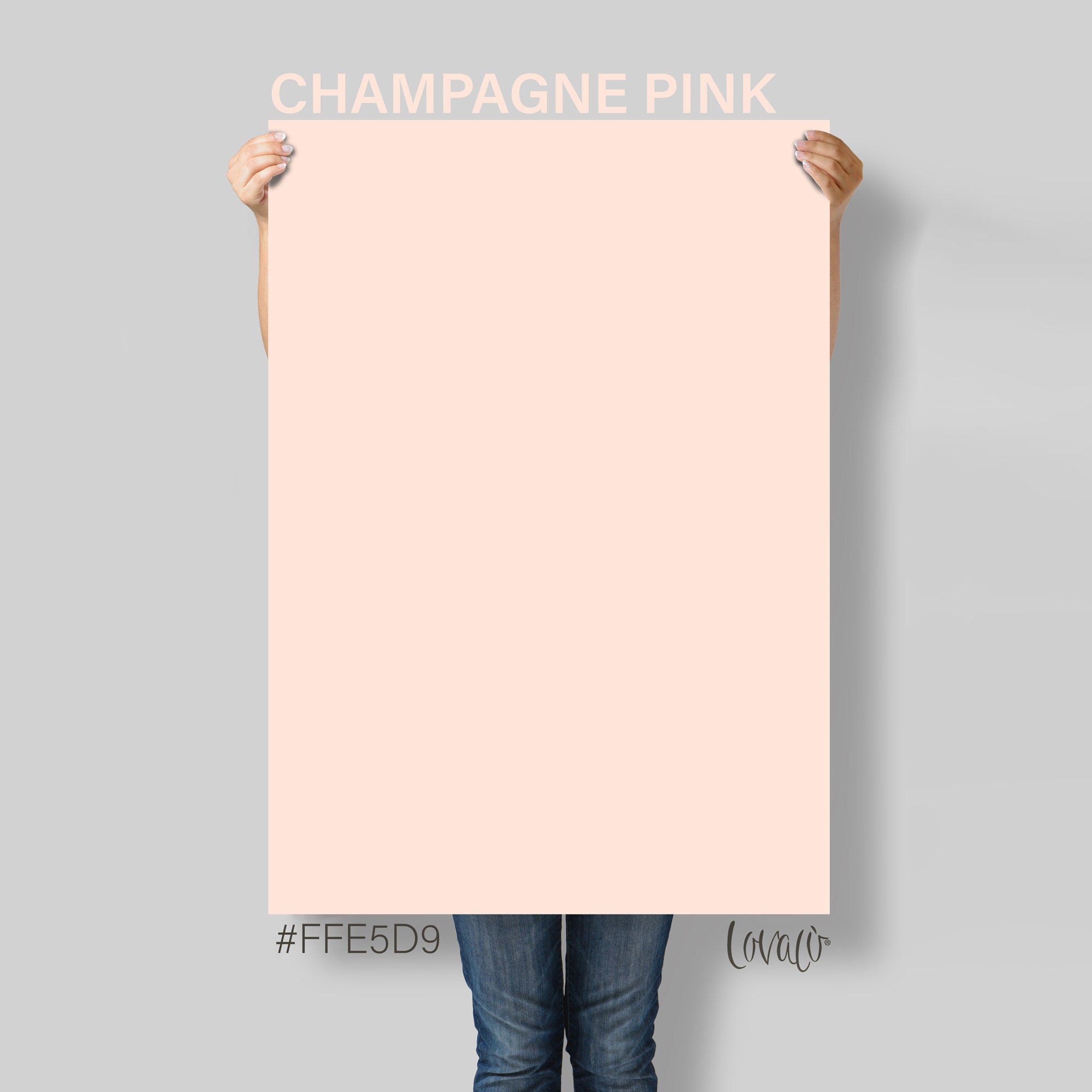 Pastel Pink Champagne Solid Color Photography Backdrop for Product