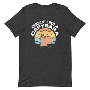 Cute Capybara Gift. Cute Capybara Shirt. Capybara Lady Gift. Gift For Capybara Owner. Capybara Owner Shirt. Chillin Like Capybara T2035