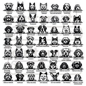 K&ouml;nnte beinhalten: Eine Schwarz-Wei&szlig;-Illustration mit einem Raster von Hunderassen, jeweils mit ihrem Namen darunter. Zu den Rassen geh&ouml;ren Norfolk Terrier, Norwegischer Buhund und Old English Sheepdog. Das Bild ist eine detaillierte Graustufen-Darstellung verschiedener Hunde.