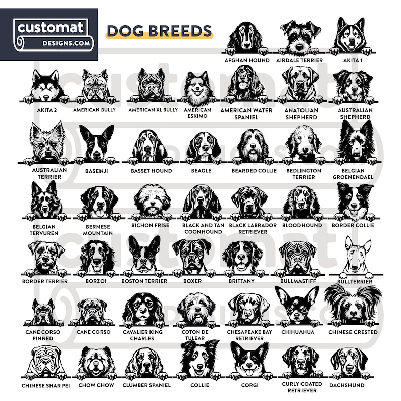 K&ouml;nnte beinhalten: Schwarz-wei&szlig;e Grafik mit verschiedenen Hunderassen, darunter Beagle, Boxer und Collie. Der Text "DOG BREEDS" ist oben zu sehen. Das Bild stammt von customatdesigns.com.