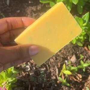 Citrus Explosion | Soap Bar