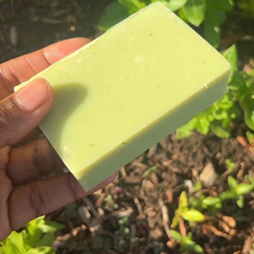 Apple Cider Vinegar Shampoo Bar With Red Palm Goji Berry Aloe Etsy